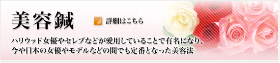 nEbhDZuȂǂpĂ邱ƂŗLɂȂA {̏D⃂fȂǂ̊ԂłԂƂȂe@ 