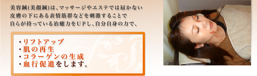 eI(I)́A}bT[WGXeł͓͂Ȃ 畆̉ɂ\،QȂǂh邱Ƃ 炪Ă鎡͂toAg̗͂ŁAtgAbv E̍Đ ER[Q̐ Esi܂B 