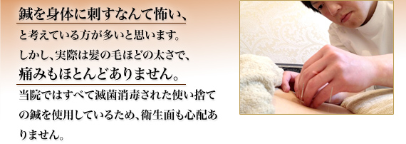 IĝɎhȂĕ|A ƍlĂƎv܂B Aۂ͔̖тقǂ̑ŁA ɂ݂قƂǂ܂B @łׂ͂ĖŋۏłꂽĝĂIgpĂ邽߁AqʂSz܂B