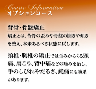 IvVR[X wEՋ Ƃ́Aw̘c݂⍜Ղ̊JX𐮂A{ׂԂɖ߂܂B ŁEł̋ł͘c݂炭铪ɁAAwɂȂǂ̒ɂ݂Âт₾邳Aݒɂɂʂ܂B